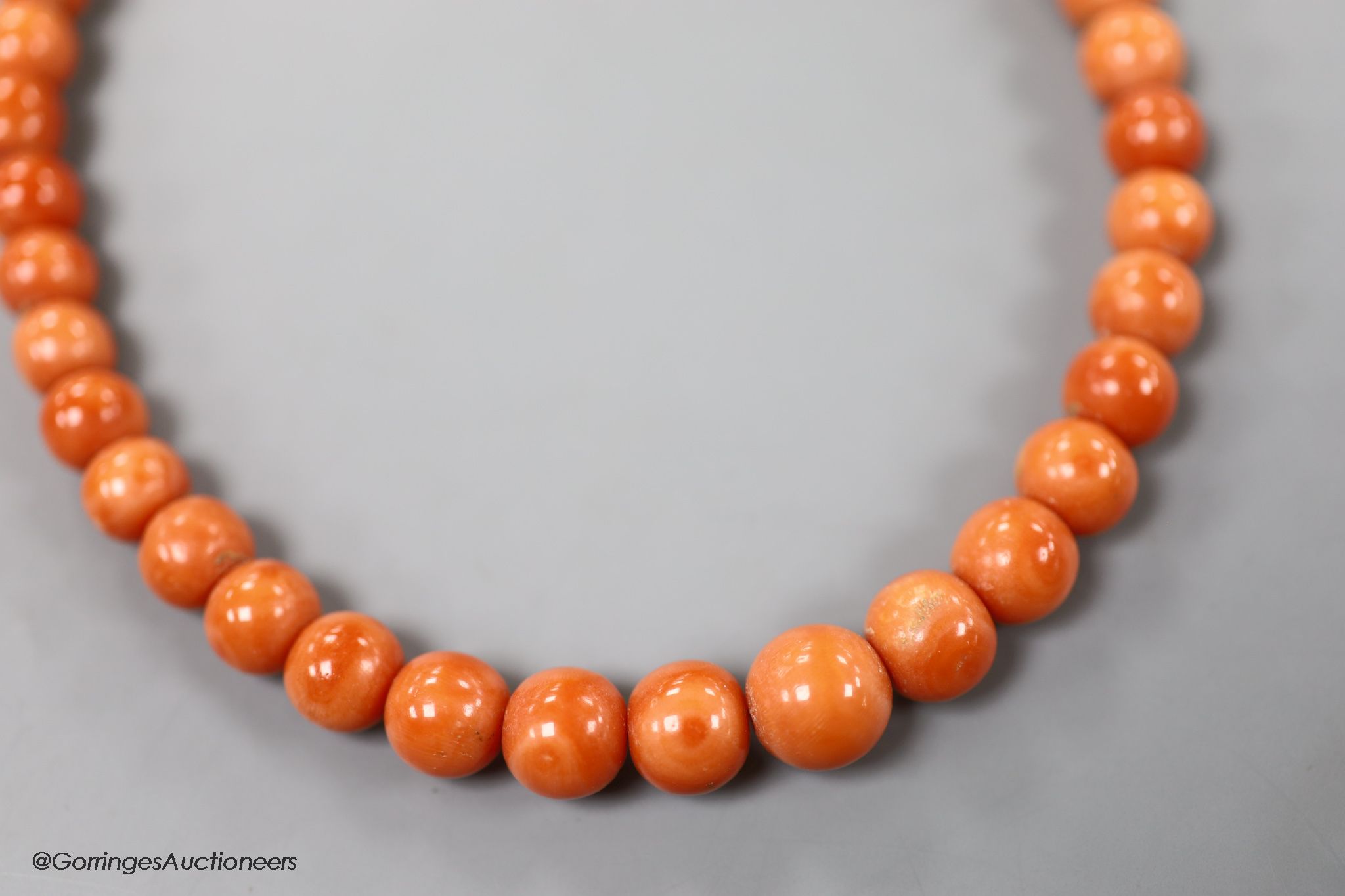 A single strand graduated coral bead choker necklace, 36cm, gross weight 63 grams.